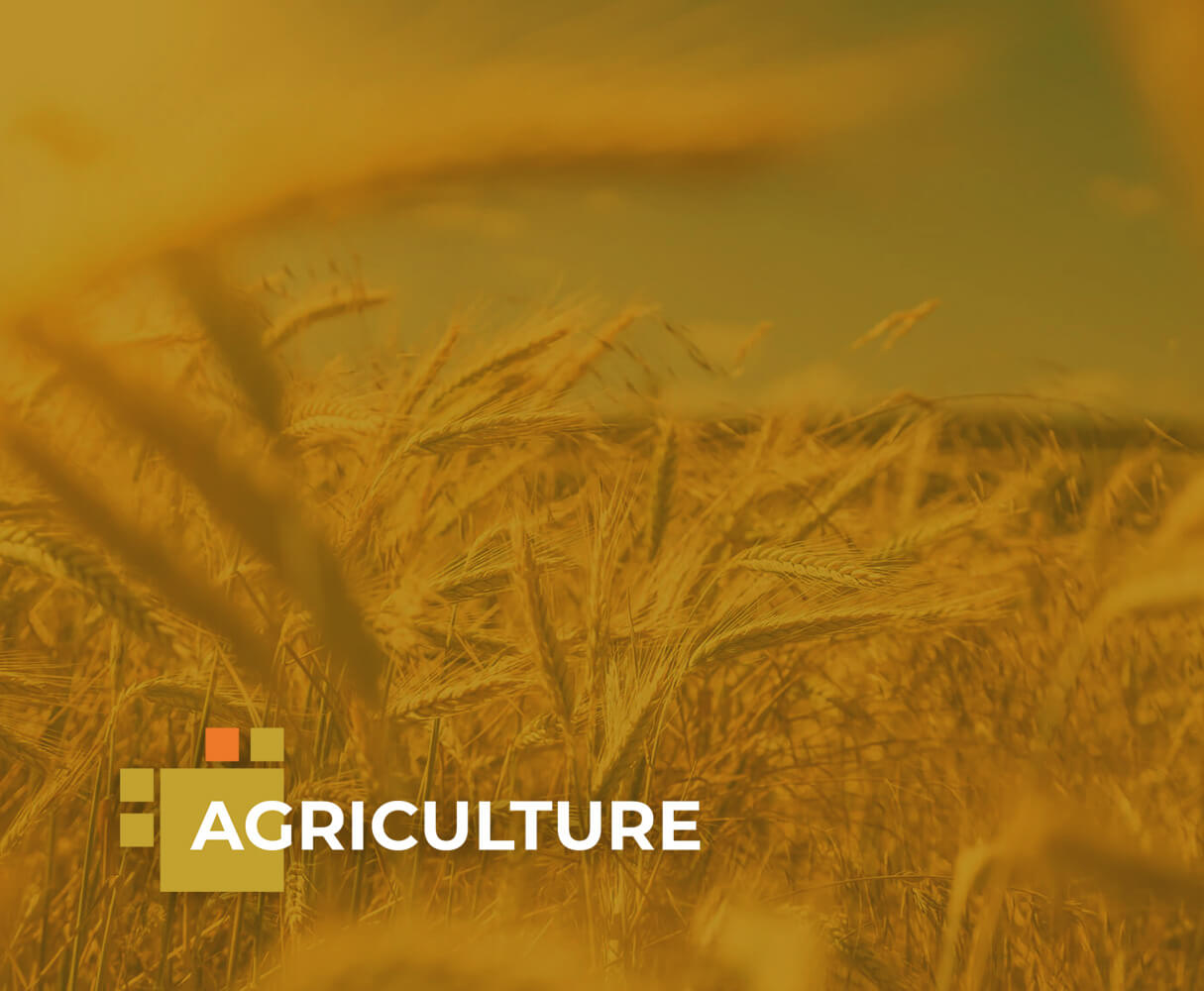 REAL District - Agriculture