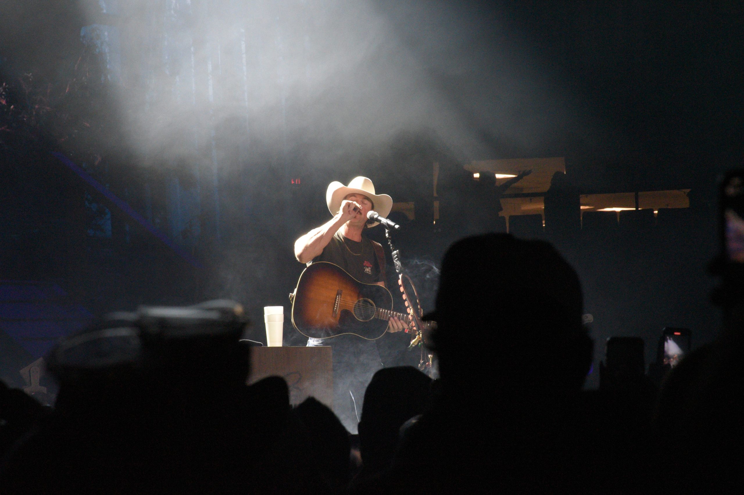 Guitarist on stage under spotlight with cowboy hat.